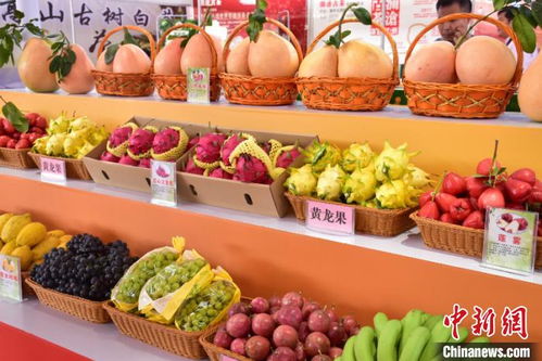 第十二届中国 东盟 百色 现代农业展示交易会开幕