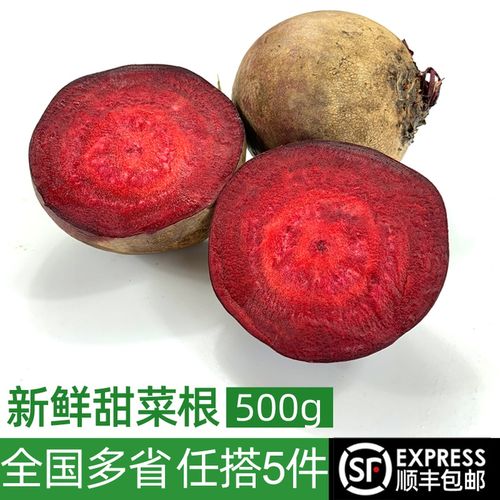 新鲜甜菜根500g 甜菜头萝卜红甜菜农家产品蔬菜红根菜头